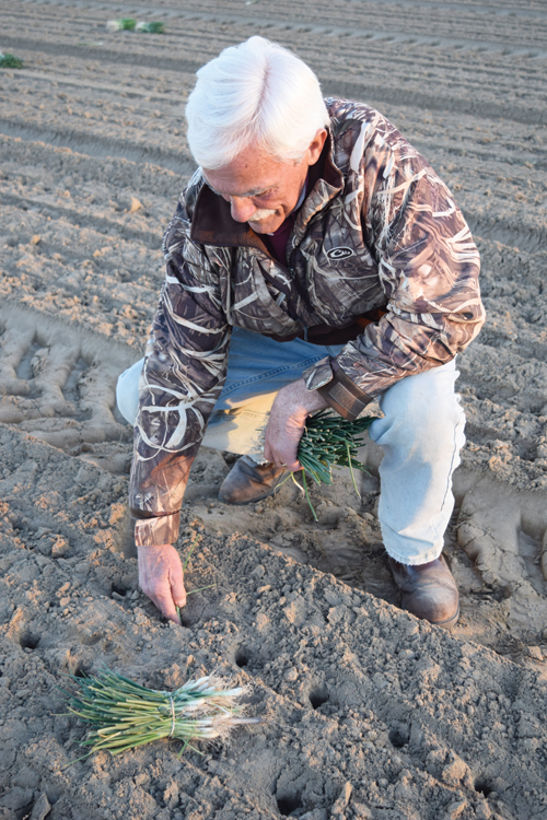 Danny Bowen checks the soil moisture conditions during planting in early December 2016.