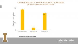 Figure 1: A comparison of fumigation to Fontelis applied via drip at two-leaf stage.