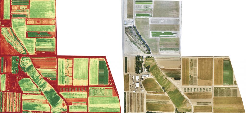These images, produced by Sky Snap, show the Malheur Experiment Station. The photo on right is a high-resolution image of the field. The one on left is the NDVI scan. Healthy plants are in medium green.