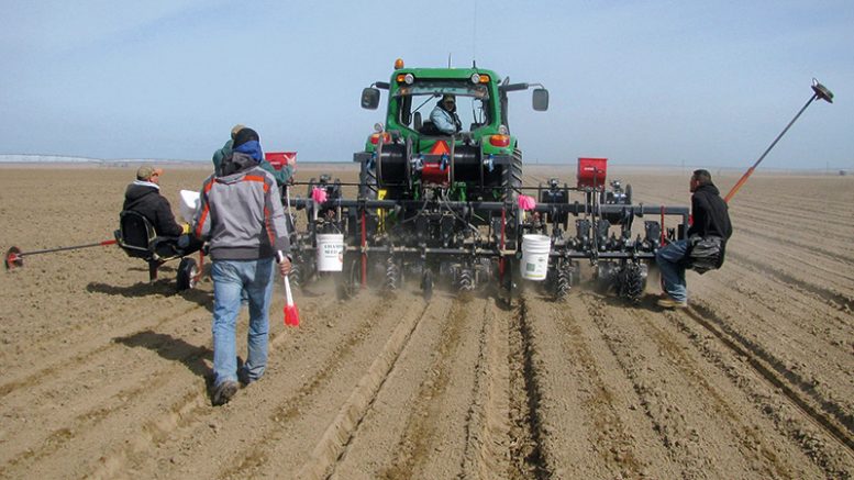 Tractor and person on farm