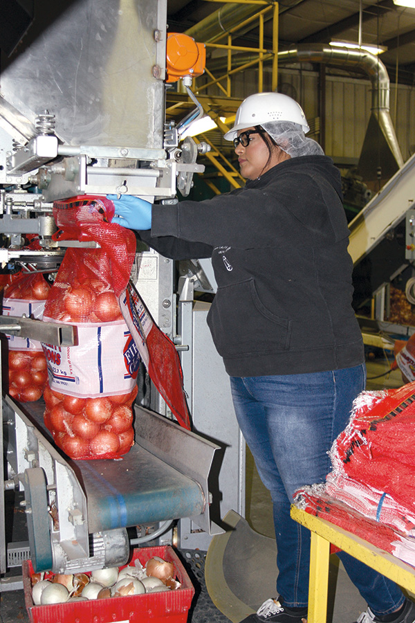 A worker operates an automatic bagging machine at Agri-Pack.