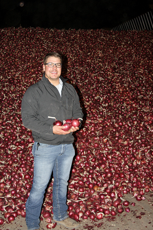 Cody Nickoloff checks the quality of Redwing onions in storage.