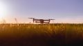 Drone in field