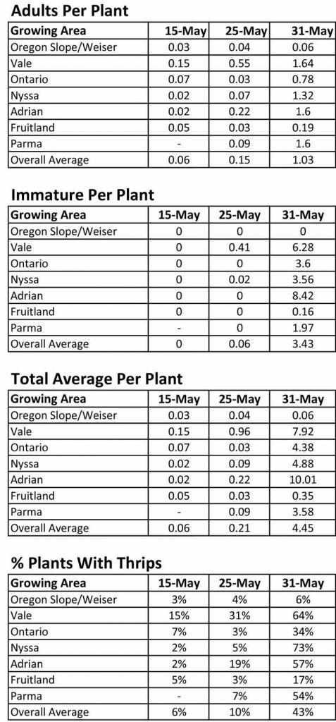 Thrips population chart May 31 2019