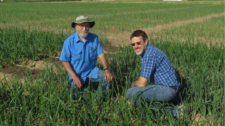 Farm Festival Program pic of two men in onion field