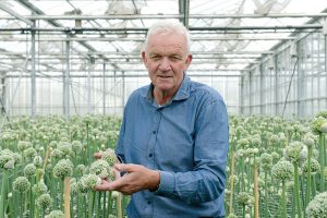 Slot in a greenhouse