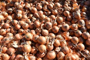 Pile of yellow onions