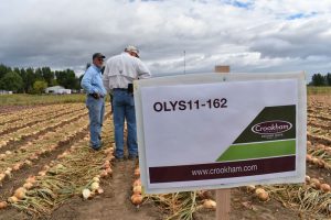Sign at Crookham 2018 Onion Show