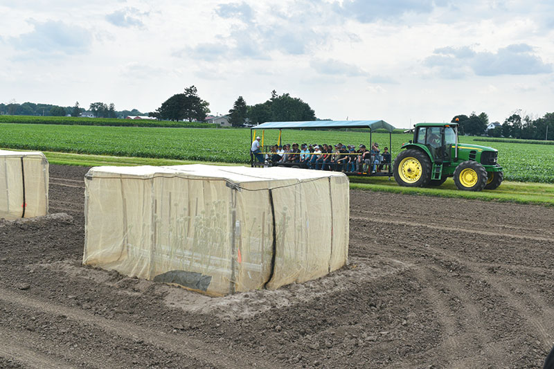 A wagon full of field day participants rolls past seed cages at the Seminis seed facility in DeForest, Wisc.