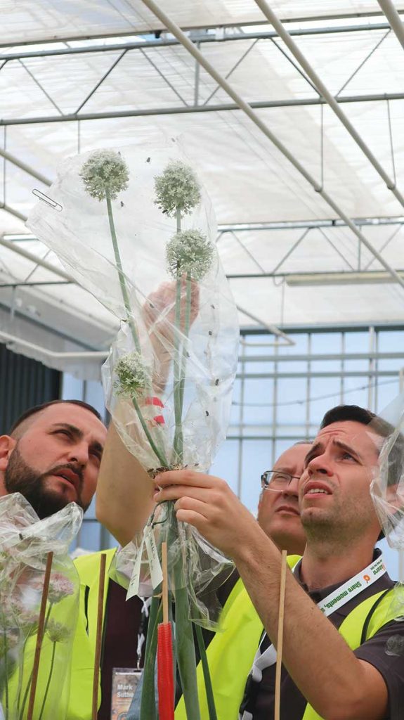 Tour participants get an up-close look at Hazera’s breeding process, which includes the use of flies and bees for pollination. 