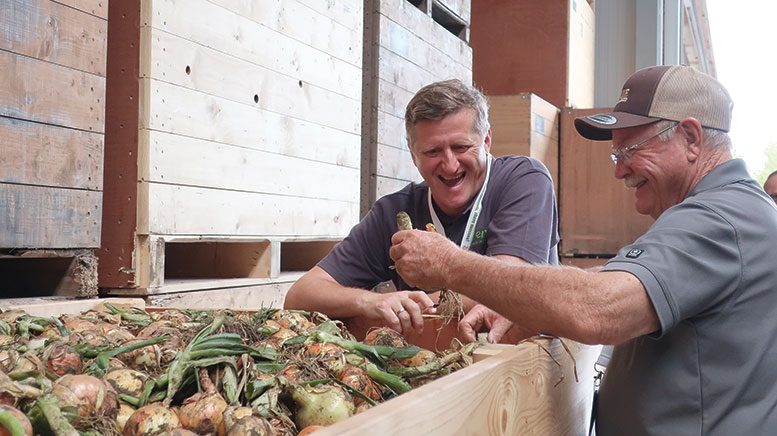 Tour participants inspect freshly harvested set onions.