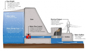 Soil organic matter and flux can be thought of as water behind a dam (storage) and conversion to energy (flux). Adapted from Janzen, 2006.