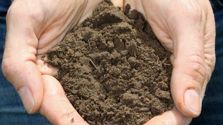 Two hands holding a mound of soil