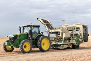 Flying F Inc. normally harvests between 50 and 55 tons of onions per year.