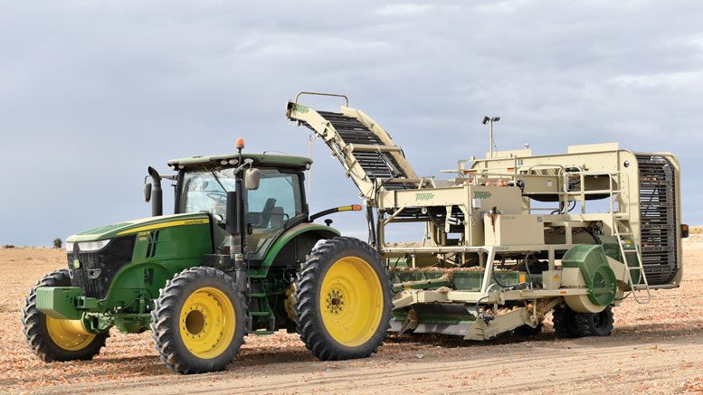 Flying F Inc. normally harvests between 50 and 55 tons of onions per year.