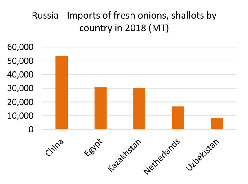 Russia imports of fresh onions, shallots