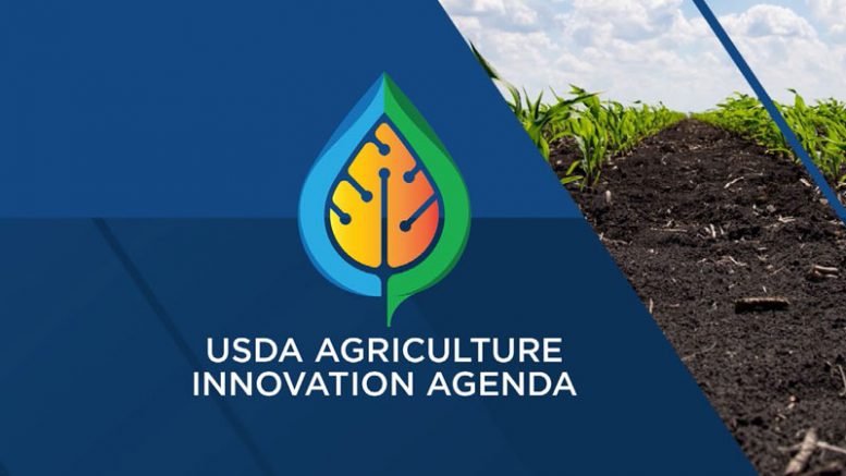 USDA Ag Innovation Agenda logo