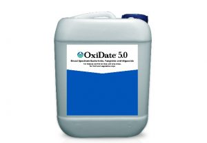Jug of OxiDate 5.0
