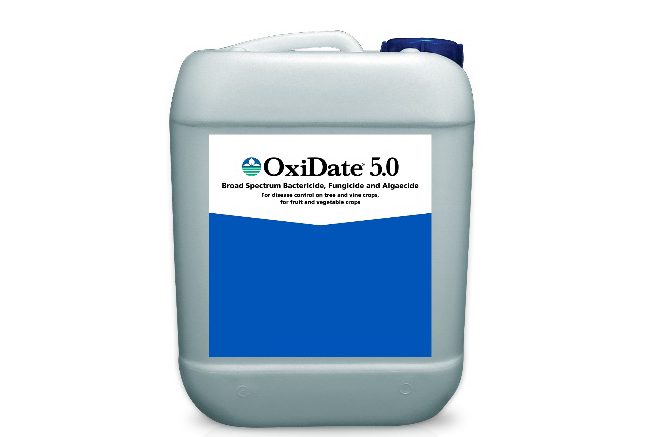 Jug of OxiDate 5.0