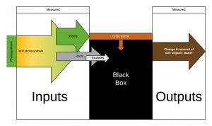 Researchers have been measuring inputs to the soil and outputs, the change in soil organic matter levels, for a long time. It is only recently that they have begun to figure out the details of what happens in the black box between.