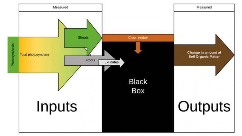 Researchers have been measuring inputs to the soil and outputs, the change in soil organic matter levels, for a long time. It is only recently that they have begun to figure out the details of what happens in the black box between.