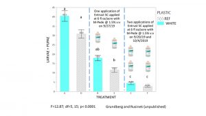 Figure 6. Reflective mulches reduced the number of allium leafminer larvae and pupae in leeks more than white mulch, but required two insecticide applications on weeks two and four to reduce allium leafminer to fewer than five per plant.