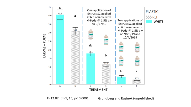 Figure 6. Reflective mulches reduced the number of allium leafminer larvae and pupae in leeks more than white mulch, but required two insecticide applications on weeks two and four to reduce allium leafminer to fewer than five per plant. 