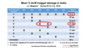 Figure 7. Foliar applications of Entrust co-applied with M-Pede on weeks three and four were just as effective at reducing allium leafminer damage as spraying every week.