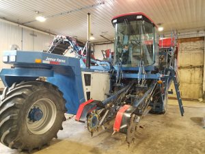 ASA-Lift carrot harvester