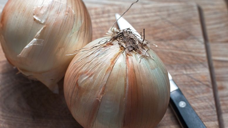 vidalia onions