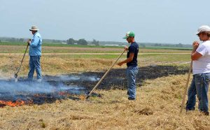 Josh Lofton and students monitor prescribed fire progress in wheat stubble. Photo by Beatrix Haggard