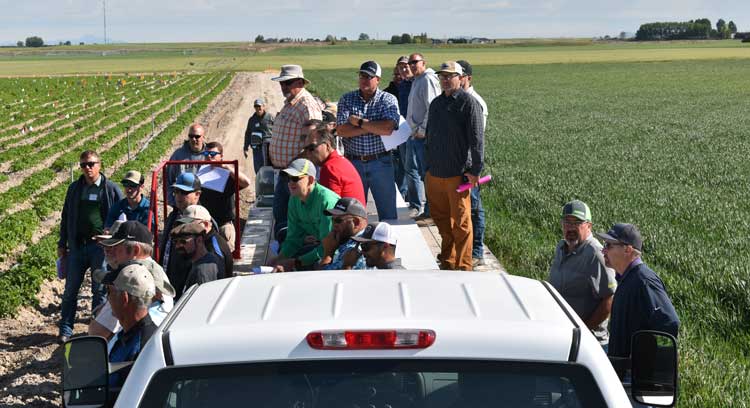 Snake River Weed Tour 2019