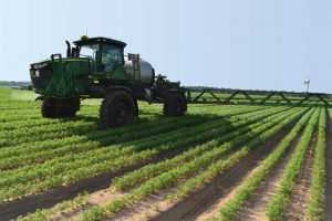 Sprayer in carrot field