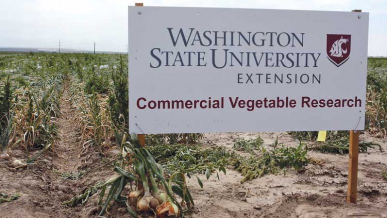 A sign welcomes visitors to the onion cultivar trial conducted at CSS Farms east of Pasco, Wash.