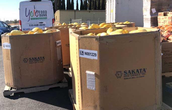 Sakata Seed donation to Yolo Food Bank