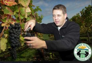 Grape farmer trimming plants