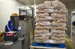 Yellow shipping onions