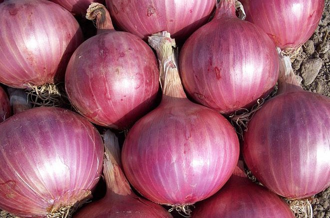 red onions