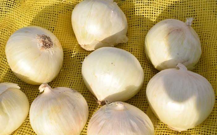 white onions