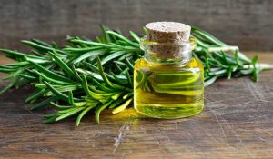 rosemary oil