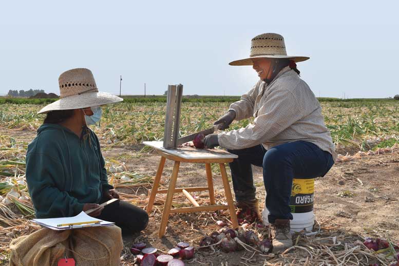 Alicia Rivera with OSU chops a red onion to count single-centers.