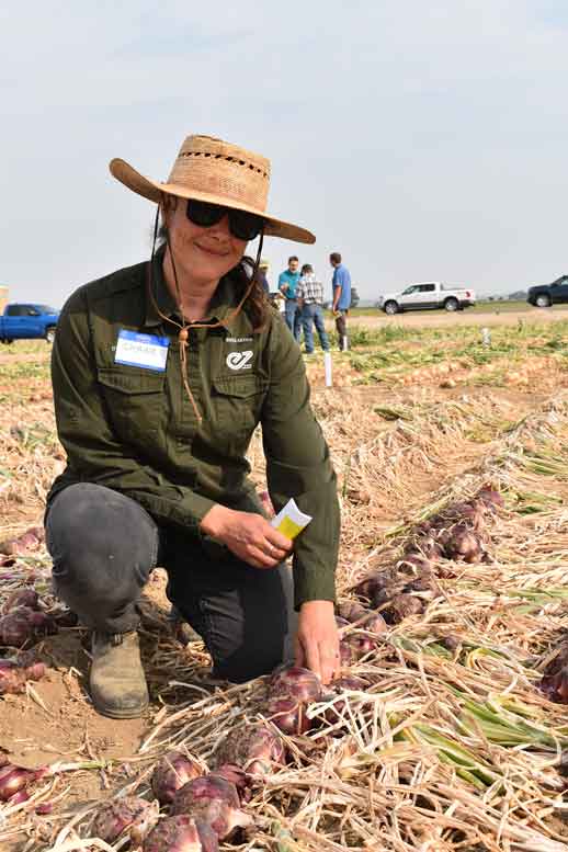 Shaina Bronstein with Enza Zaden checks out the company’s new Tannat variety in the trial.