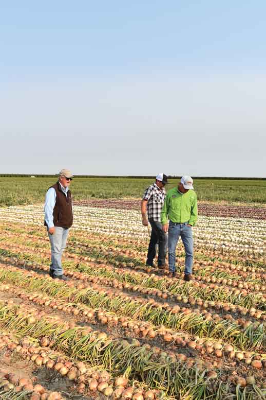 David Whitwood (left), a breeder for Crookham, shows yellow varieties to a grower.